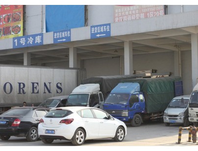武漢白沙洲農(nóng)產(chǎn)品中心冷鏈?zhǔn)袌?chǎng)3萬噸低溫冷庫工程案例