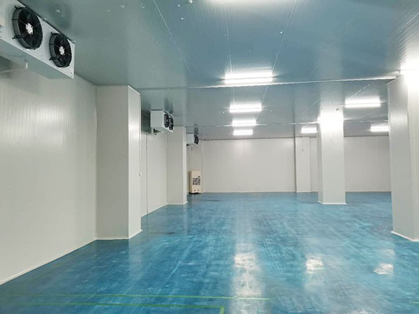 建個1000平方米的冷庫要多少錢？