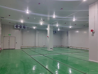 河南1000m³防爆冷庫(kù)安裝多少錢？防爆倉(cāng)庫(kù)供應(yīng)商