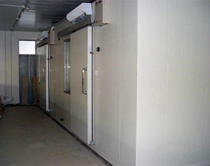 建造一個100平方米肉類速凍庫安裝造價多少錢？