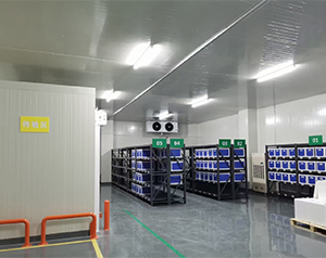 藥企公司建造低溫醫(yī)藥冷庫的方案和預(yù)算？