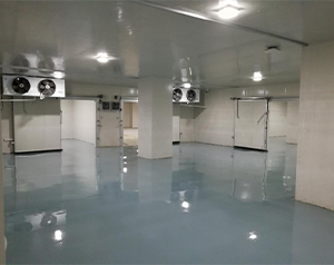 藥企公司建造低溫醫(yī)藥冷庫的方案和預(yù)算？