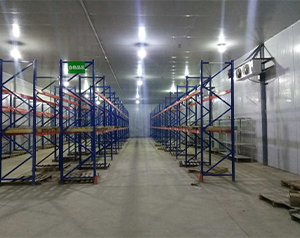 生物公司建造200平2-8℃醫(yī)藥冷庫(kù)建造費(fèi)用？