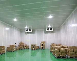 4500㎡藥品冷鏈物流冷庫設(shè)計(jì)方案，冷庫預(yù)算多少錢