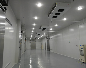 醫(yī)藥冷庫建造這些您了解嗎？藥品冷庫建設(shè)多少錢
