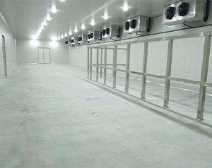 -60℃金槍魚冷庫（超低溫冷凍庫）安裝價(jià)格多少
