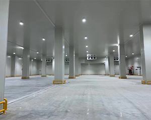 你知道未來哪種冷庫更有市場(chǎng)潛力，有“錢”景？