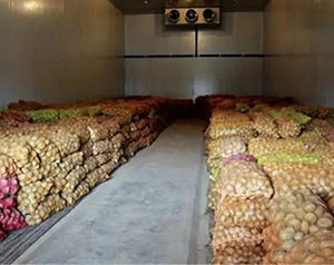 建造 1000噸食品加工冷庫大概需要多少錢？