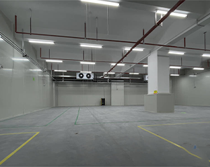 50噸果蔬氣調(diào)庫(kù)造價(jià)是多少錢(qián)一立方米？