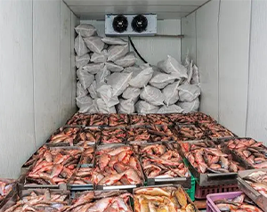 舌尖上的漁業(yè)制冷-海鮮、魚類冷庫(kù)