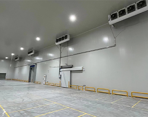 建個小型冷藏庫多少錢?冷藏庫建設(shè)造價？