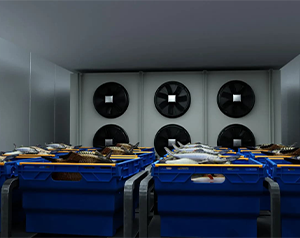 亂世之秋 生鮮電商如何突圍？