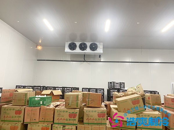 建一個水果冷庫需要多少錢？