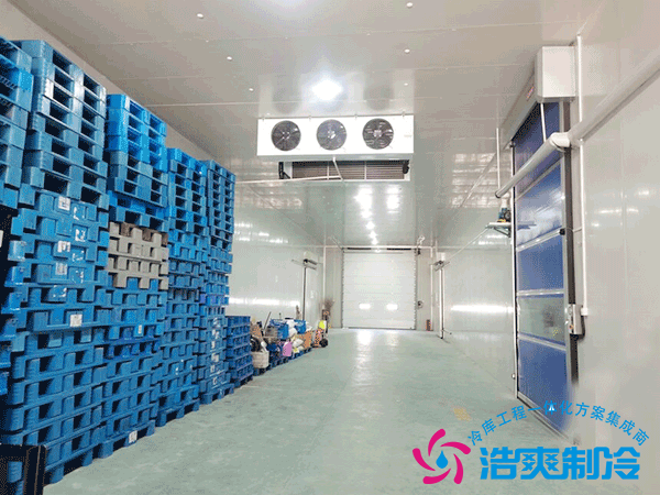 2000平倉庫改建食品冷凍庫怎么設計建造