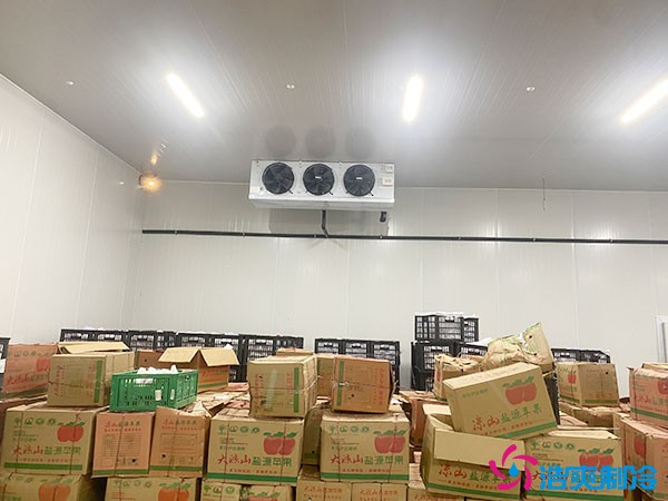 保鮮庫(kù)建設(shè)造價(jià)多少錢(qián)一平方？保鮮庫(kù)安裝報(bào)價(jià)明細(xì)表