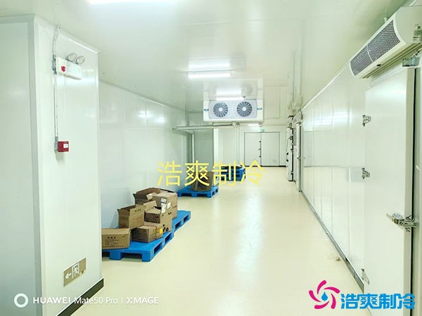 儲存疫苗的企業(yè)獨立冷庫有幾個？生物疫苗冷庫造價