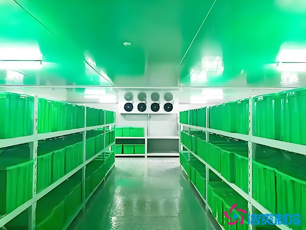 藥品批發(fā)企業(yè)冷藏庫平方面積要求多少？1000平藥企冷庫造價(jià)