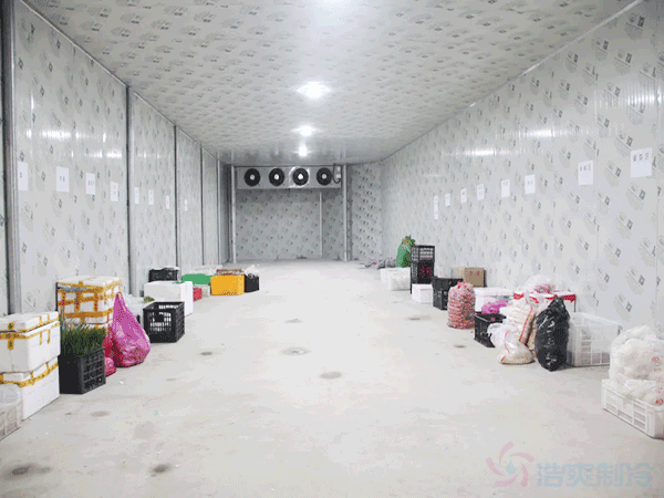 建一個(gè)能儲存20萬斤的100噸冷庫需要多少錢