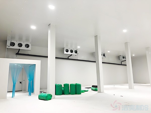 建一個(gè)能儲存20萬斤的100噸冷庫需要多少錢