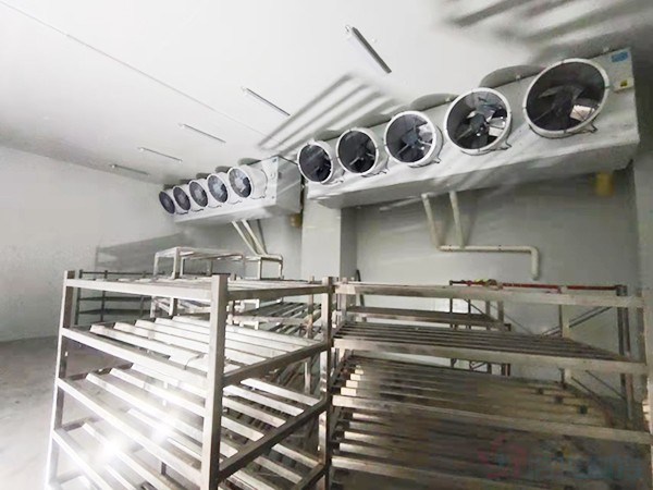 建造1000立方冷凍庫配多大壓縮機(jī)？造價(jià)預(yù)算多少錢？