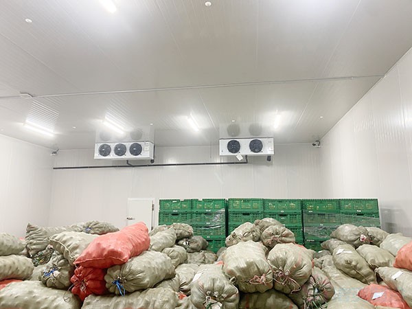 影響蔬菜保鮮冷庫(kù)建造價(jià)格的因素有哪些？