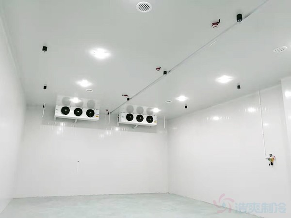 上海啤酒冷藏庫(kù)建設(shè)