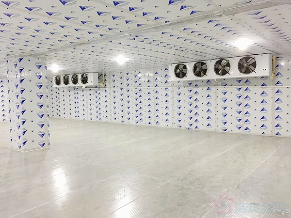 江西肉類速凍冷庫(kù)工程